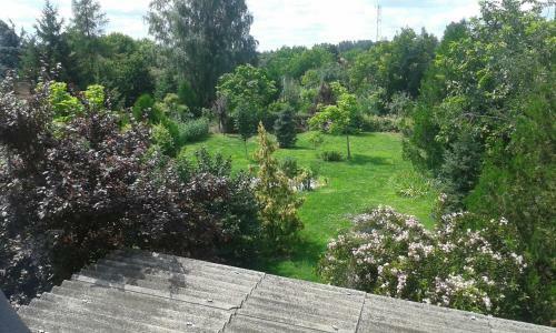 A Nyugalom Szigete H�z