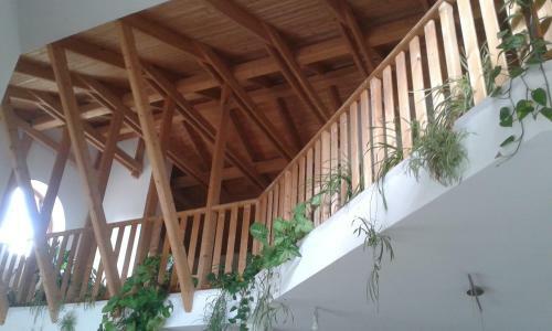 A Nyugalom Szigete H�z