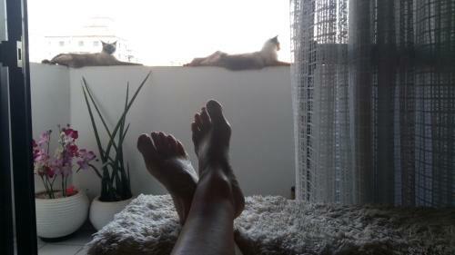 Apartamento Apto Praia Grande