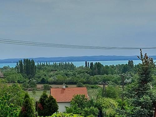 Laurus Vend�gh�z