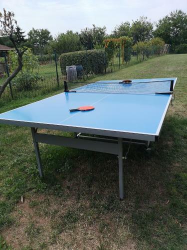 Laurus Vend�gh�z
