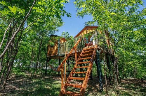 Apartamento Di�liget - Csendes Rejtek Lombh�z