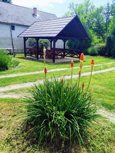 Pusztakisfalu Vend�gh�z