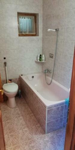 Z�ld Orom Vend�gh�z