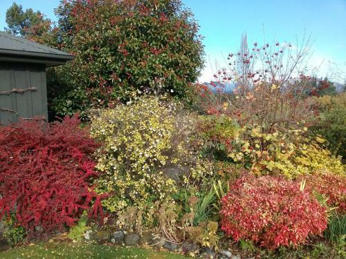 Bed & Breakfast Marchmont Gardens