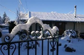 Albergue Jack In The Green Backpackers