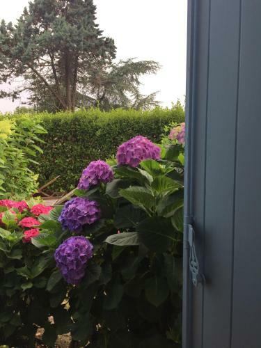 Bed & Breakfast �'maxethel