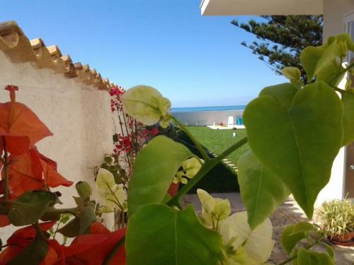 Suitebeach B&B