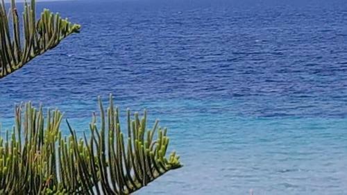 Suitebeach B&B