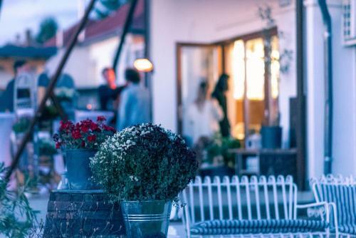 Apartamento Ny�l�sz� Vend�gh�z St�di�lak�s