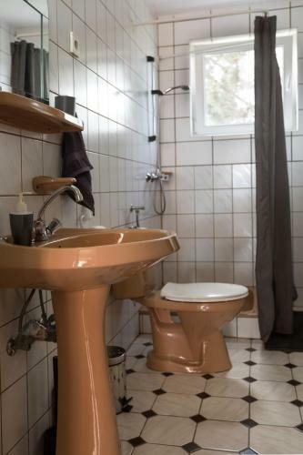 Hostal Felh? Vend�gh�z