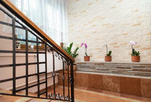 Pelsoart Apartments