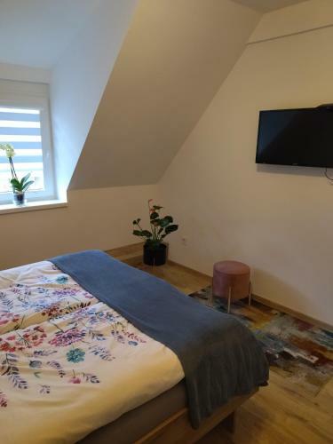 Valentin Apartman