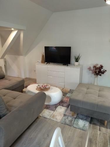 Valentin Apartman