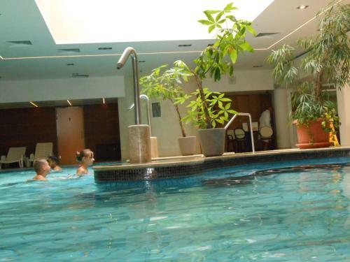 Pallace Wellness Apartment