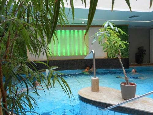 Pallace Wellness Apartment