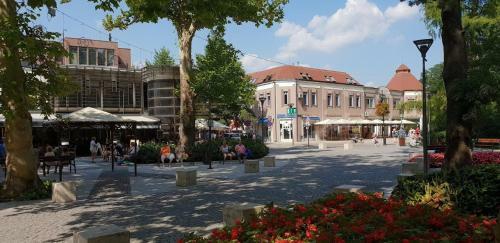 R�zsa Apartman
