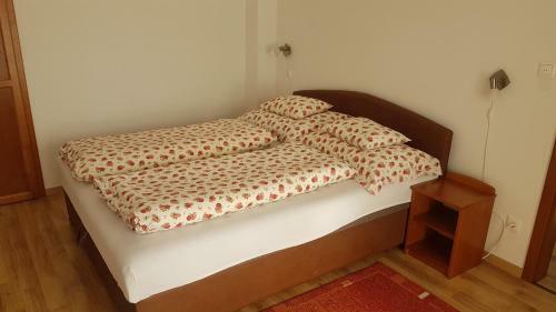 Hostal Elza H�z