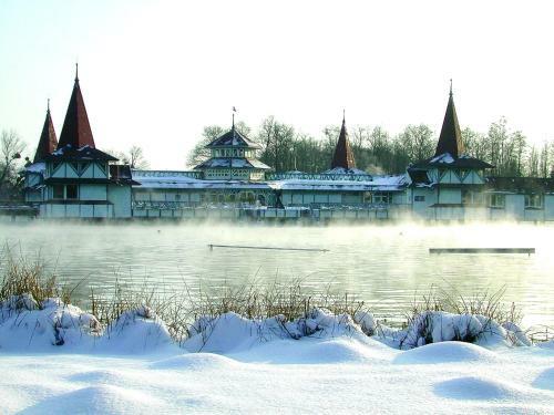 Hostal Elza H�z