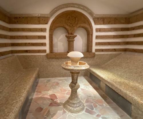 Spa Residence Carbona Apartman 104