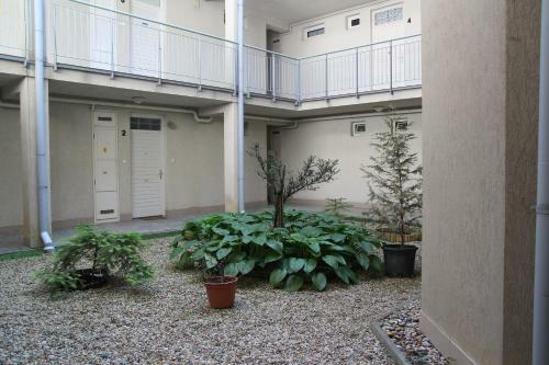 Apartment With Swing