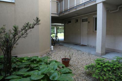 Apartment With Swing