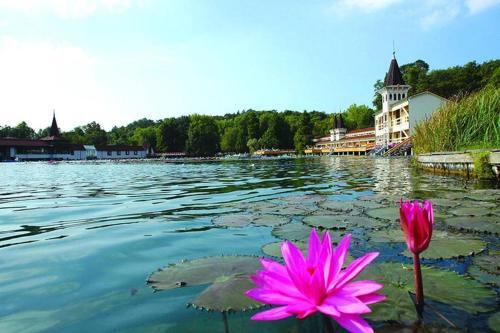 Best Relax H�v�z Apartman