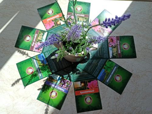 Apartamento Lavender