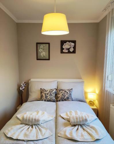 V�r-lak Apartman