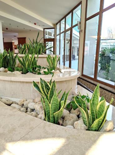 Spa Residence Carbona Apartment 205