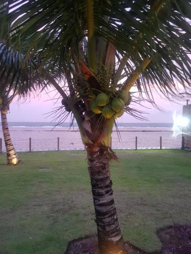 Apartamento Ekoara Residence