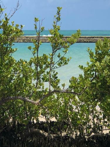 Apartamento La Fleur Polin�sia