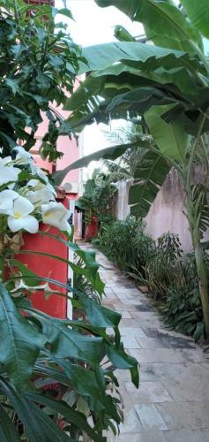 Apartamentos Beira Mar