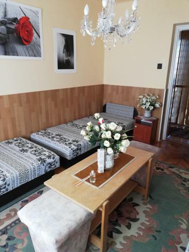 Hostal Szoboszl�f?nix Vend�gh�z