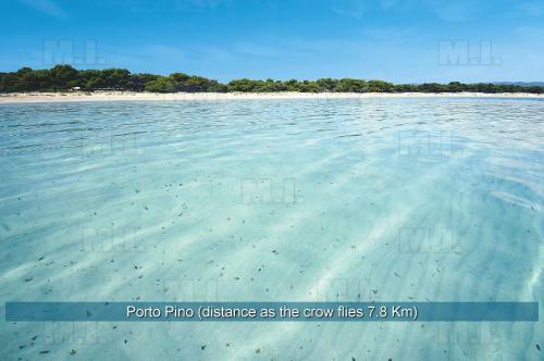 Case Vacanza Fichi D'india