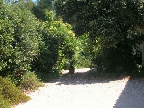 Bed & Breakfast Les Orchid�es