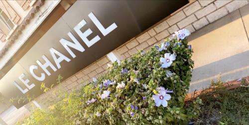 Hotel H�tel Restaurant Le Chanel