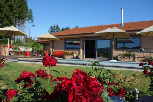 Bed & Breakfast Chambres D'h�tes - La Belmoni�re