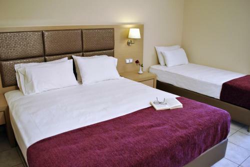 Aparthotel Hotel Plessas Palace