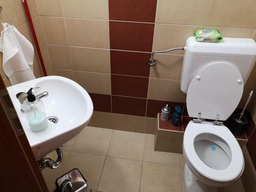 Freedom Apartman