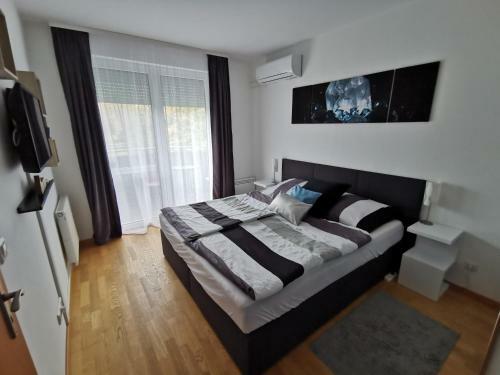 Freedom Apartman