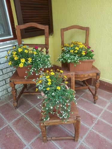 Bazsi Apartman