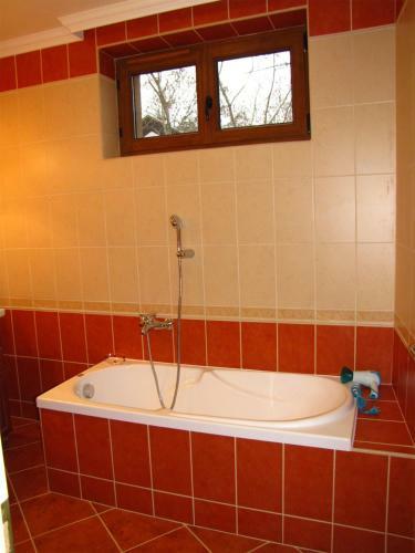 Szegf? Apartman