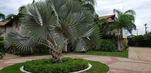 Camb�a Residence