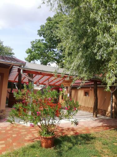 Apartamento Tessedik Vend�gh�z