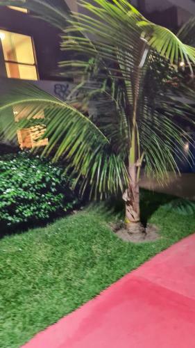 Apartamento Cupe Beach Living - Flat Oxente - App. 301 Ciano