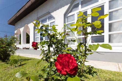 Compass Apartmanok I