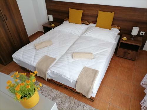 Hotel Aqua Oazis Apartman