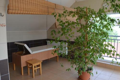 Hotel Aqua Oazis Apartman
