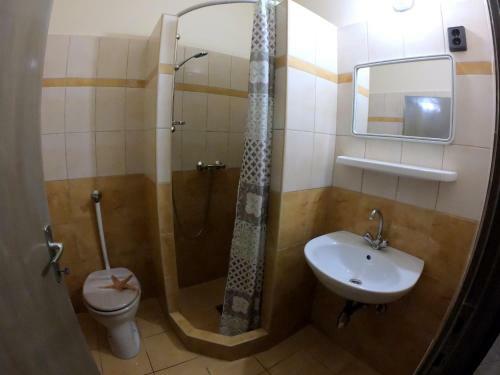 Dami Apartman
